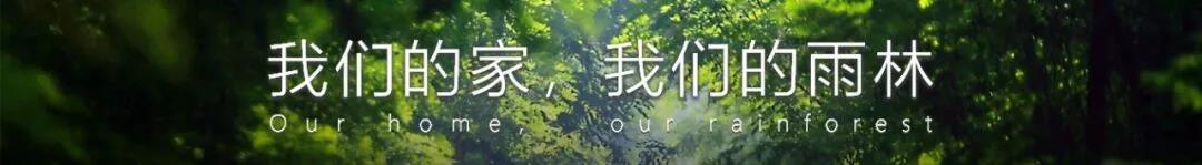 mg冰球突破豪华版(试玩)官方网站